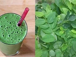 Tác hại không ngờ của rau ngót khiến bạn phải thót tim