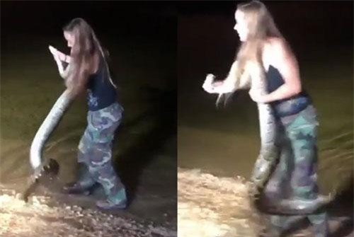 'Choáng' với màn bắt trăn 'khủng' bằng tay không của gái xinh