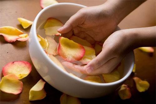 Công dụng phổ biến của nước hoa hồng