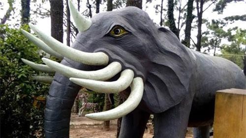 Giai thoại 'cha vợ vua Minh Mạng bị chém' và chuyện voi 9 ngà