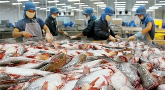 Giới thiệu cá sông Đà đến người tiêu dùng Thủ đô