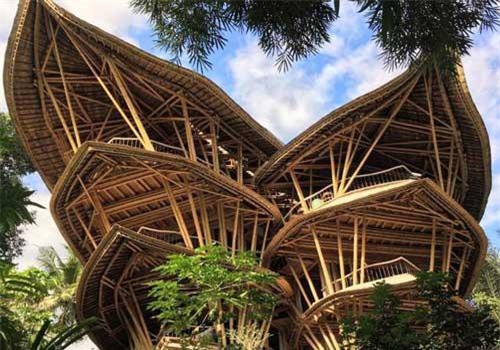 Ngỡ ngàng 'biệt thự tre' 6 tầng tuyệt đẹp giữa rừng