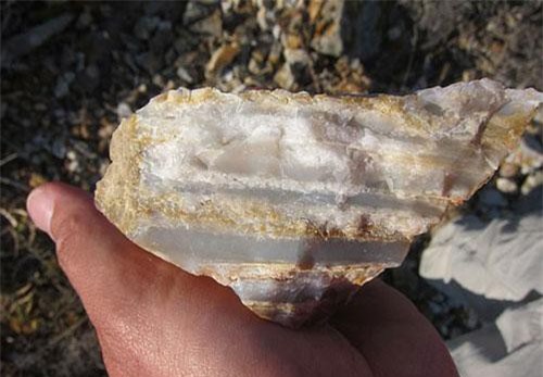 Sốc với bằng chứng về một loài người khác đi khai phá hoang đảo