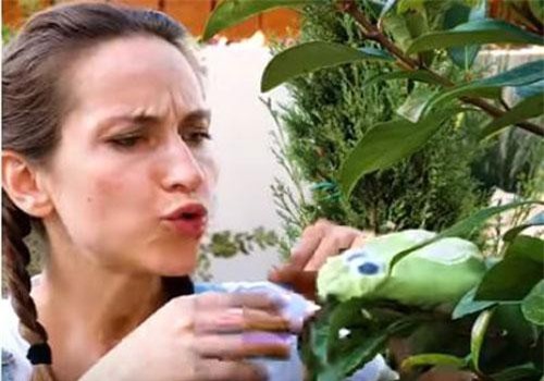 CLIP: Những thủ thuật làm vườn thông minh cực kỳ hiệu quả