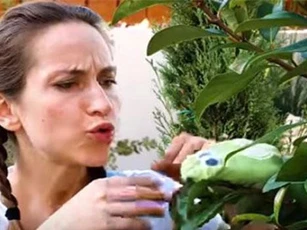 CLIP: Những thủ thuật làm vườn thông minh cực kỳ hiệu quả