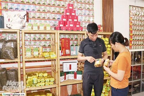 HTX Sử Anh, Tuyên Quang: Điểm sáng thúc đẩy nông thôn mới