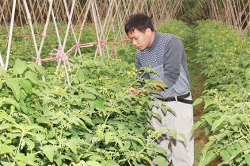 Hà Nam: Mô hình HTX thanh niên giúp nhiều bạn trẻ khởi nghiệp