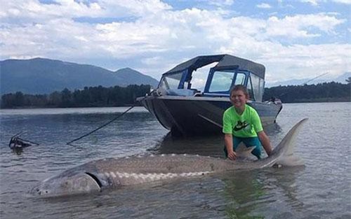 Kinh ngạc bé 9 tuổi câu được cá nặng hơn 270kg