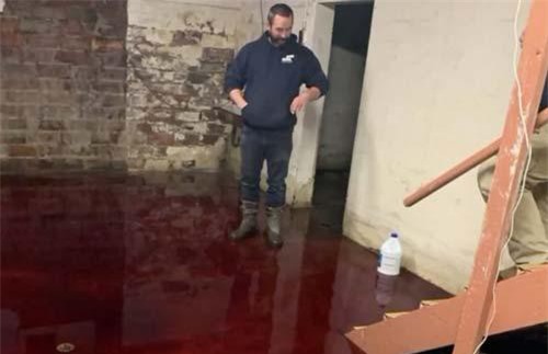 Xuống hầm lấy máy khoan, rợn người phát hiện cảnh kinh hoàng dưới nền hầm