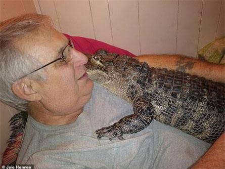 Bí kíp biến cá sấu thành bạn của người đàn ông 65 tuổi