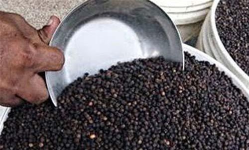 Một doanh nghiệp Việt Nam xuất khẩu tiêu sang Senegal có nguy cơ không đòi được tiền