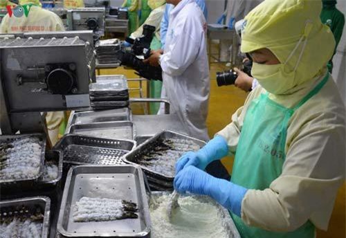 Năm 2019, xuất khẩu tôm có thể giảm 4% so với 2018