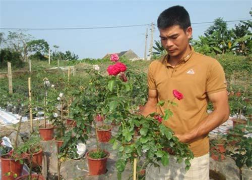 Nam Định: Xã hội hóa các nguồn lực cho xây dựng nông thôn mới