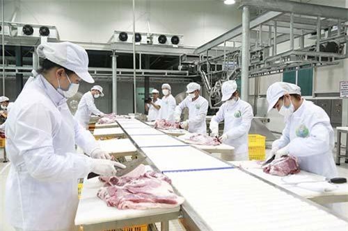 Ngành chăn nuôi trong bối cảnh hội nhập: Tái cơ cấu để phát triển bền vững