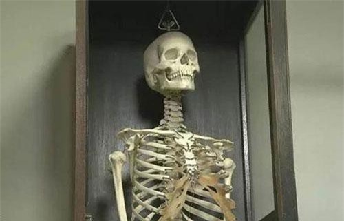 Sự thực hãi hùng sau bộ xương người dùng giảng dạy
