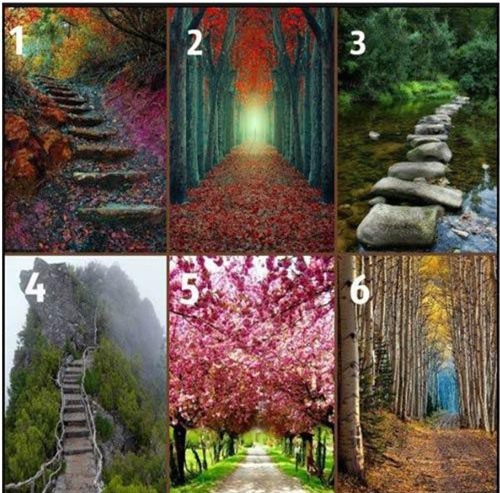 Trắc nghiệm: Con đường hé lộ nhiều điều thầm kín về bạn