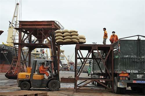 Xuất khẩu gạo: Không còn nỗi lo phụ thuộc