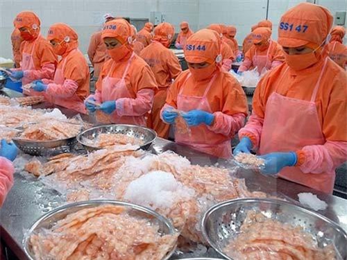 Xuất khẩu thủy sản: Chật vật về đích