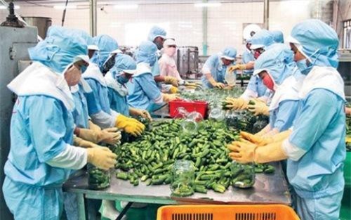 Xuất nhập khẩu nông lâm thủy sản đạt 10 tháng đạt gần 60 tỷ USD