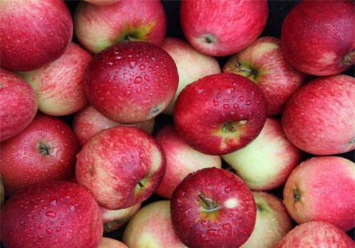 10 loại rau củ quả nhất định bạn phải ăn mùa thu này