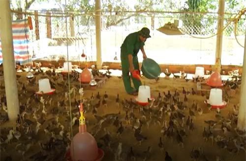 Bà Rịa - Vũng Tàu: Làm giàu từ mô hình VAC