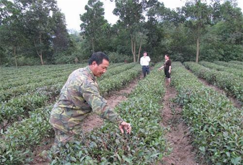 Bắc Giang: Đẩy mạnh giảm nghèo bền vững ở huyện Sơn Động