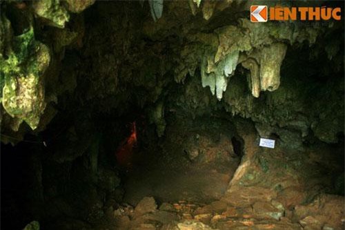 Hang động huyền bí bên suối cá thần nổi tiếng nhất Việt Nam