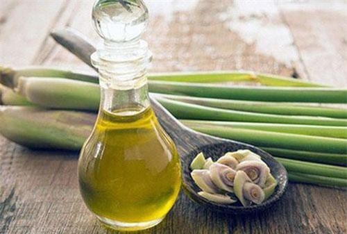 Tác dụng bất ngờ của tinh dầu sả chưa chắc nhiều người biết