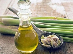 Tác dụng bất ngờ của tinh dầu sả chưa chắc nhiều người biết