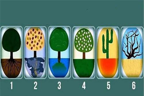 Trắc nghiệm: Bật mí hai đặc điểm 'càng ngắm càng yêu' của bạn