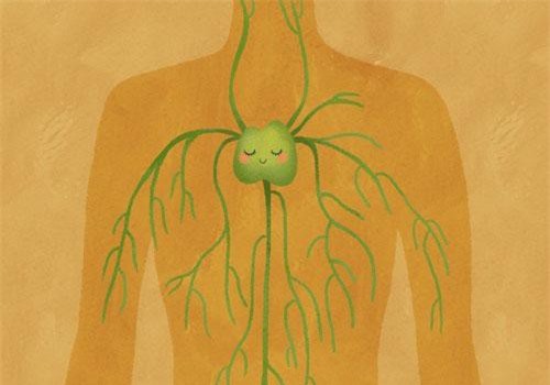 Tư thế nằm ngủ thế nào là tốt nhất cho sức khỏe?