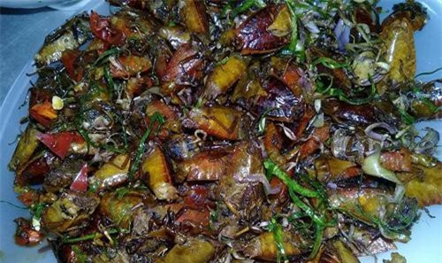 Bọ xít rang, món đặc sản Sơn La thách thức những tín đồ ẩm thực