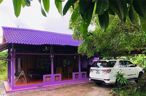 Căn nhà 'tím lịm tím sim' nổi bần bật gây sốt, sự thật lại khiến mọi người tiu nghỉu