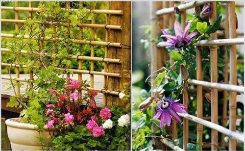 Clip: Tổng hợp những ý tưởng thiên tài cho khu vườn nhà bạn thêm đẹp và xanh tốt