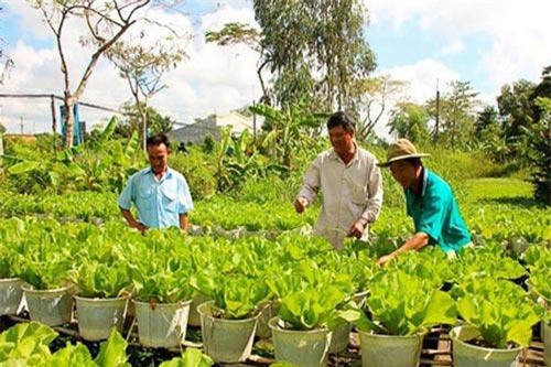 Mỹ Xuyên, Sóc Trăng: Nâng cao nội lực, phát triển nông thôn mới toàn diện