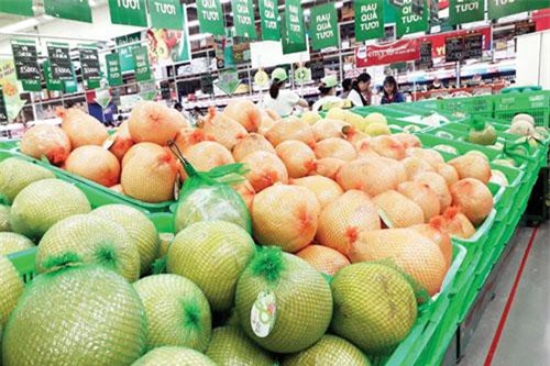 Sản phẩm HTX trụ vững nhờ thương hiệu