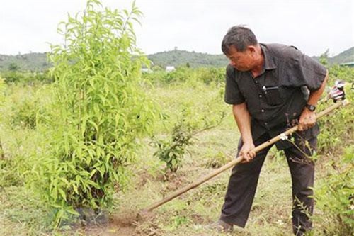 Tiên phong sản xuất sạch trên vùng đất khó