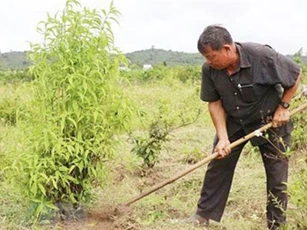 Tiên phong sản xuất sạch trên vùng đất khó