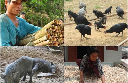 'Tứ độc đặc sản' nổi tiếng đất Quảng Ngãi