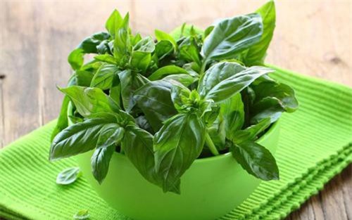 9 loại thảo mộc tốt nên sử dụng trong nấu ăn