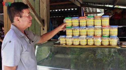 Làm giàu từ đặc sản cá chua vùng lòng hồ sông Đà