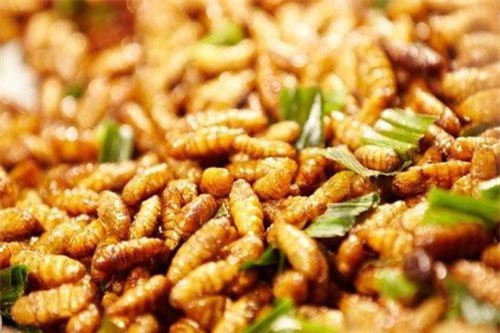 Nhộng tằm rất giàu dinh dưỡng nhưng dễ gây ngộ độc, thậm chí tử vong