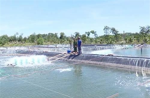 Quảng Xương, Thanh Hóa: Đột phá nông thôn mới từ các HTX thủy sản