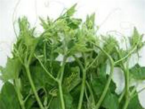 4 mẹo chỉ rõ rau bí 'tắm' hóa chất, thuốc kích thích