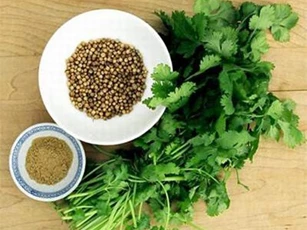 4 người tuyệt đối nên hạn chế ăn rau mùi