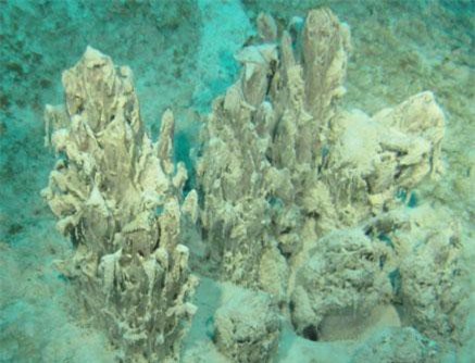 Bí ẩn sự sống nguyên thủy trong đá hồ Joyce