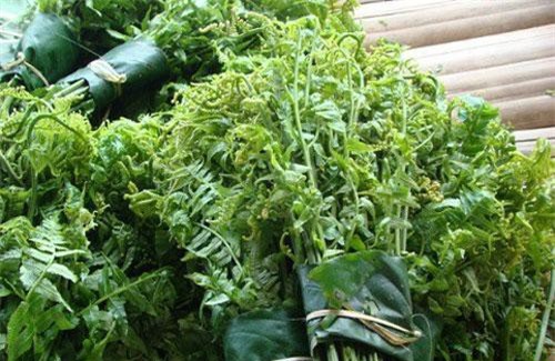 Các món rau rừng ngon 'quên lối về' của đồng bào Tây Bắc