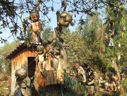 Cảnh tượng rùng mình trên hòn đảo kỳ dị nhất hành tinh