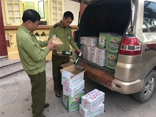 Lạng Sơn: Ngăn chặn kịp thời 620 kg củ cải đã qua sơ chế nhập lậu từ Trung Quốc