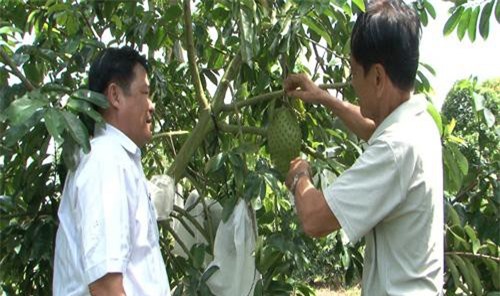 Nông dân Hậu Giang làm giàu với mô hình làm nông thông minh
